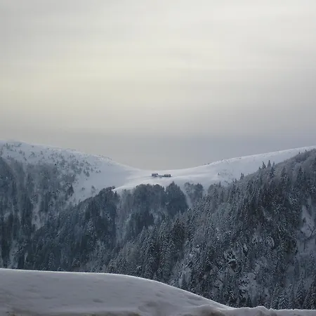 A Avec Vue Sur Montagne + Balcon Chalet Stosswihr