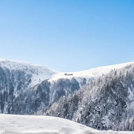 A Avec Vue Sur Montagne + Balcon Stosswihr